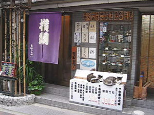 横綱 の外観
