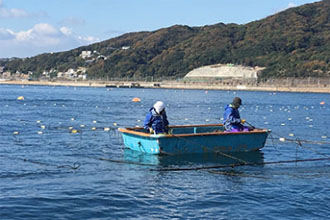 海苔網の設置